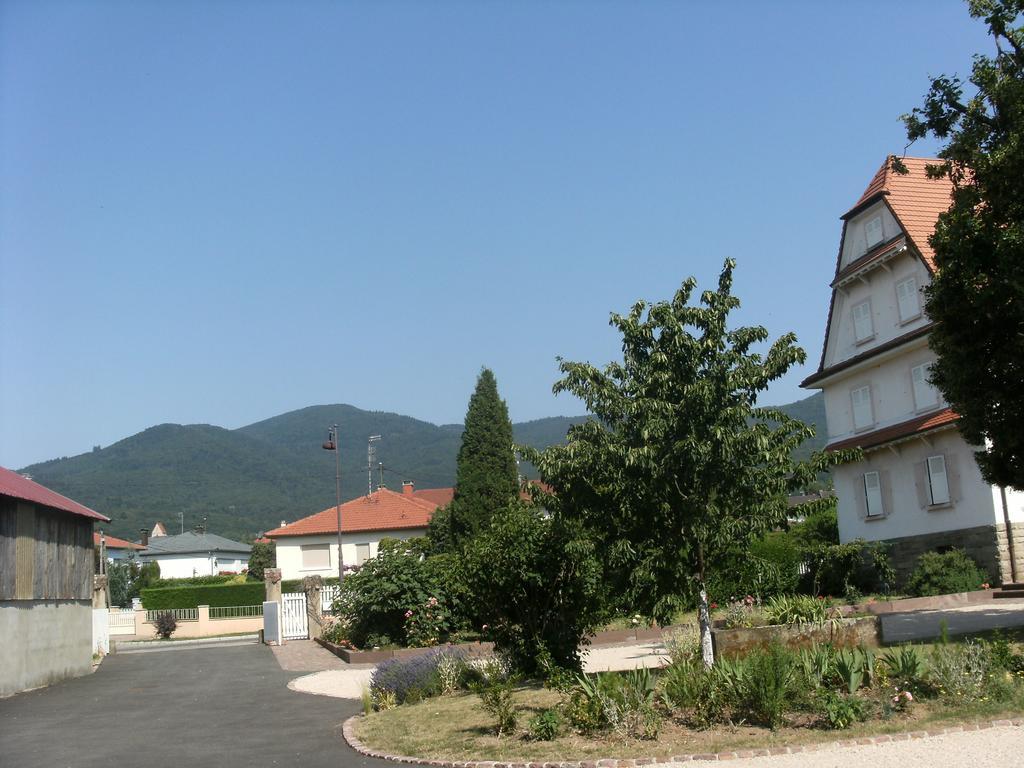 Gite Des Alisiers Wattwiller Exterior foto